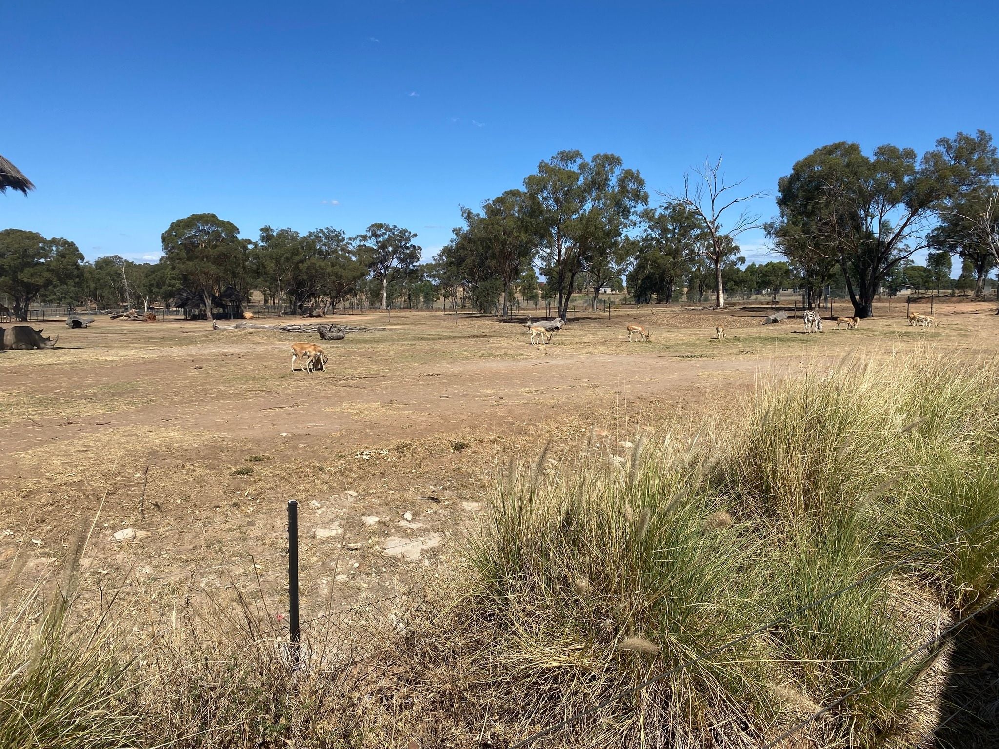 Dubbo Zoo 2025 Image -67de04a654b8d